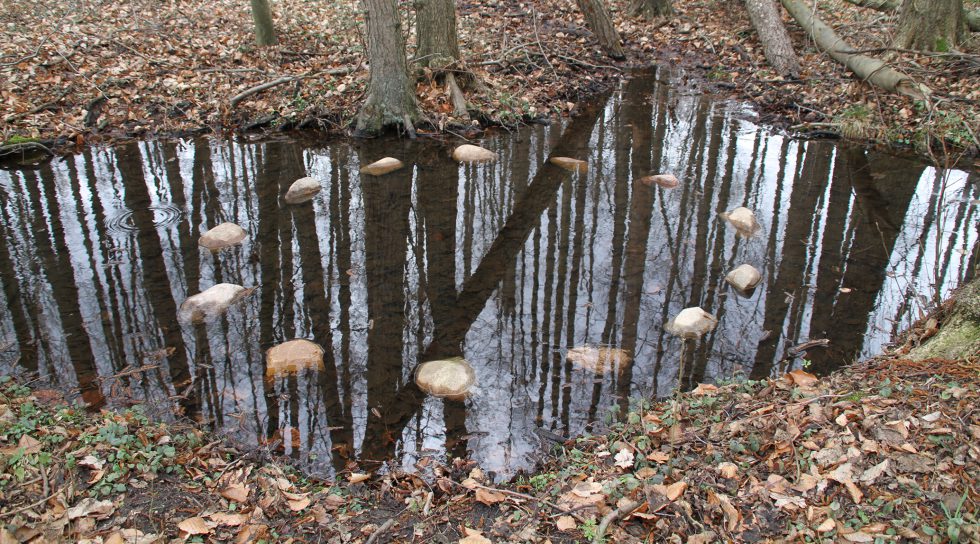 Quellen | Runir
